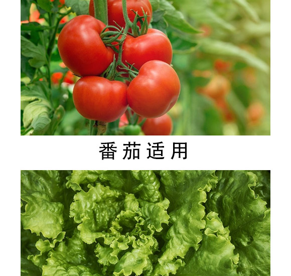 ������-����-�������H