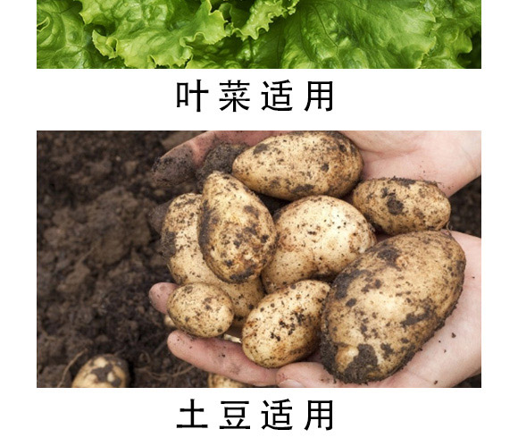 ������-����-�������H