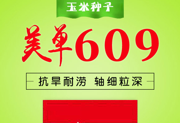 ����609-���ף��s�����N��-�п�����