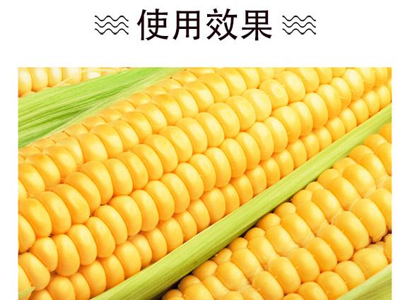 ����609-���ף��s�����N��-�п�����