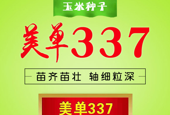 ����337-���׷N��-�п�����