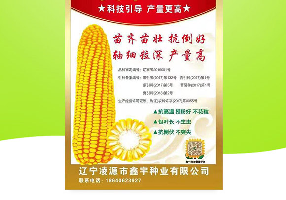 ����337-���׷N��-�п�����