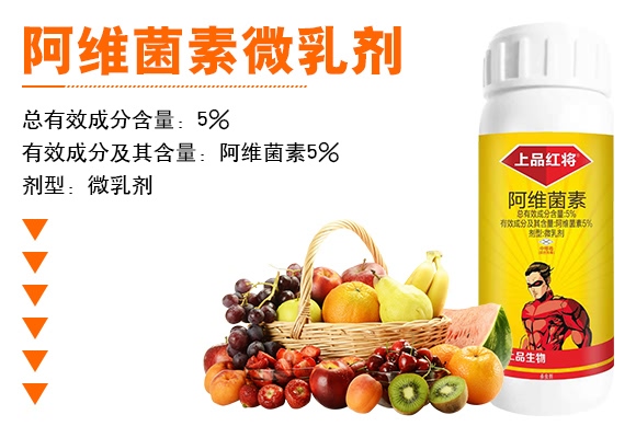 ���S����΢�鄩-��Ʒ����