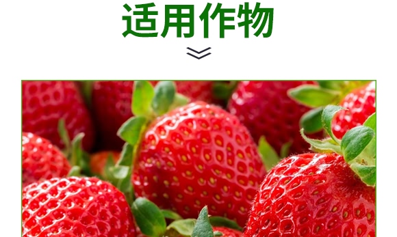 礦源黃腐酸碳酶菌劑-黃立翠-廣宇通 礦源黃腐酸碳酶菌劑-黃立翠-廣宇通