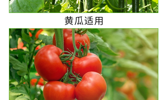 螯合中微量微生物菌劑-碳戀-廣宇通 螯合中微量微生物菌劑-碳戀-廣宇通