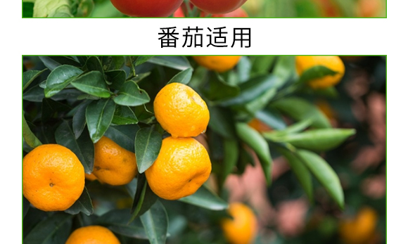 螯合中微量微生物菌劑-碳戀-廣宇通 螯合中微量微生物菌劑-碳戀-廣宇通