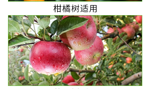 螯合中微量微生物菌劑-碳戀-廣宇通 螯合中微量微生物菌劑-碳戀-廣宇通