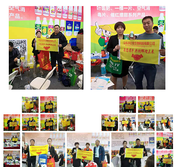 ��Ч����ý��؄�-����-�փ|��