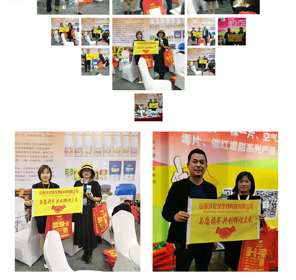 ��Ч����ý��؄�-����-�փ|��