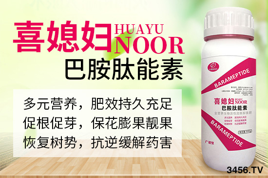 �Z�����＼�g(sh��)���޹�˾���I��Щ�a(ch��n)Ʒ��