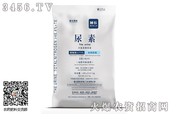 �����Ј����m(x��)�q����2020-8-5�������؃r�������Ո�