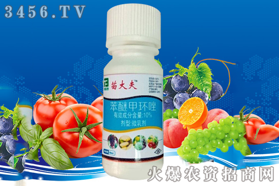 �@�Nˎ����40��N�������r(n��ng)�������������������һ�ι�һ��(g��)����