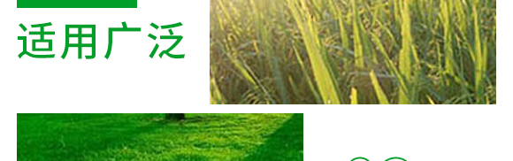 5g噁霉靈水分散粒劑-土紳-長雙農(nóng)藥 5g噁霉靈水分散粒劑-土紳-長雙農(nóng)藥