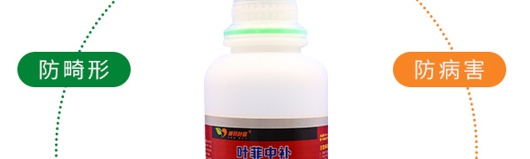 ��(f��)���Ǵ��}-�~�����a(b��)-�°��~��