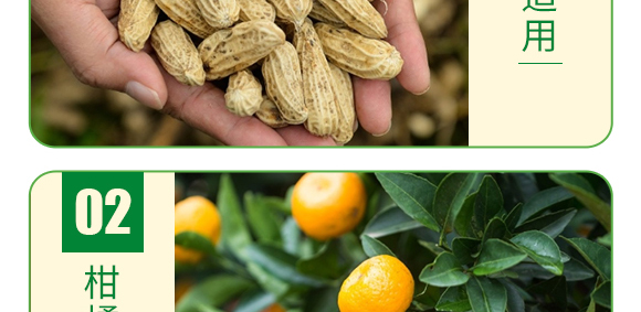 ��(f��)���Ǵ��}-�~�����a(b��)-�°��~��