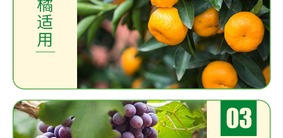 ��(f��)���Ǵ��}-�~�����a(b��)-�°��~��