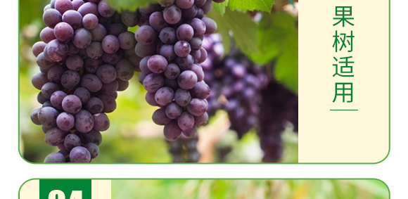 ��(f��)���Ǵ��}-�~�����a(b��)-�°��~��