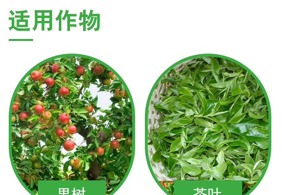 娌冪ⅶ浼?娑蹭綋緙撻噴姘偉-娌冪珛鏍糭04.jpg 娌冪ⅶ浼?娑蹭綋緙撻噴姘偉-娌冪珛鏍糭04.jpg