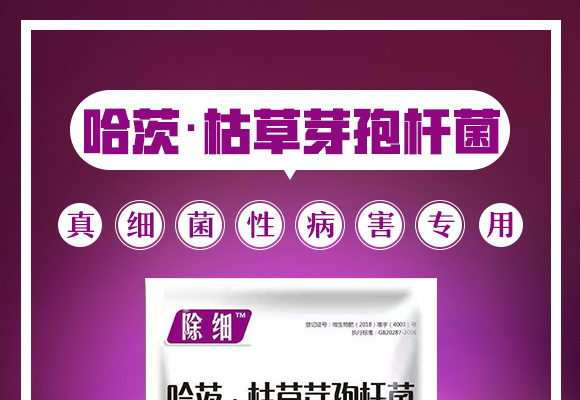 哈茨·枯草芽孢杆菌�Q�真�l�菌性病害专用）_01.jpg