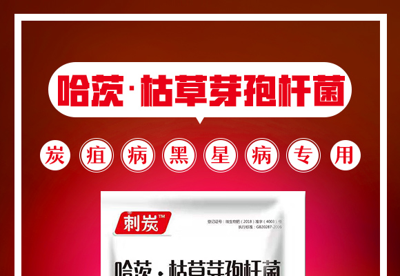 哈茨·枯草芽孢杆菌�Q�炭疽病、黑星病专用�Q�_01.jpg