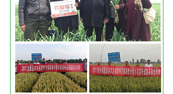 �������-�r(n��ng)�Ѹ�