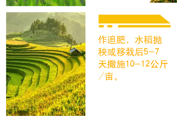 閲戠榫欒嵂鑲?鏍肩伒縐戞妧_06.jpg 閲戠榫欒嵂鑲?鏍肩伒縐戞妧_06.jpg