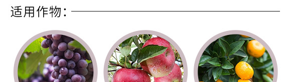 ΢�������-��(r��n)�S��̩-�S��̩