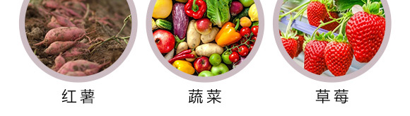 ΢�������-��(r��n)�S��̩-�S��̩