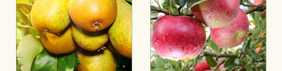 ̼ø�������~����-��������