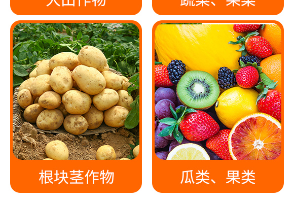 5%���S���ؑҸ���-���r����