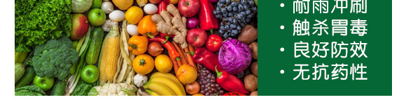 ʭ����-��Ʒ����