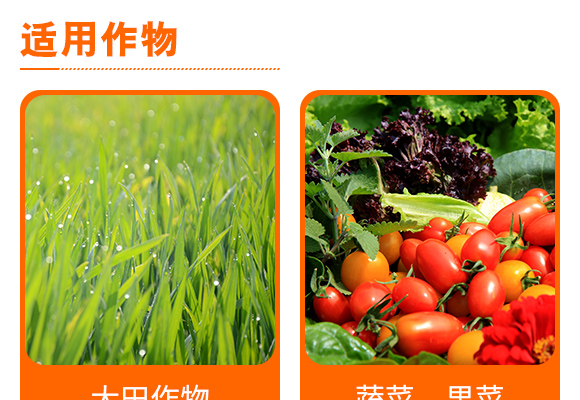 鍘熸枡綰?綰х熆婧愰粍鑵愰吀閽撅紙澶╃劧鐢熺墿鍒烘縺绱狅級-鐭挎簮閮?灝婁韓鐢熺墿_05.jpg 鍘熸枡綰?綰х熆婧愰粍鑵愰吀閽撅紙澶╃劧鐢熺墿鍒烘縺绱狅級-鐭挎簮閮?灝婁韓鐢熺墿_05.jpg