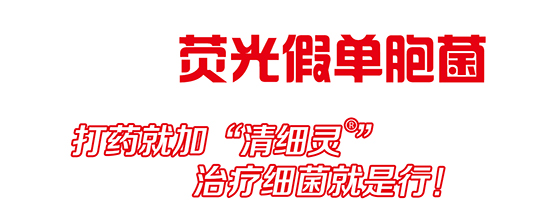 熒光假單細(xì)胞-細(xì)璽-農(nóng)墾 熒光假單細(xì)胞-細(xì)璽-農(nóng)墾