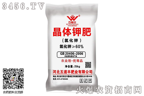 �Ȼ������o��׃����2020-10-19�Ȼ�⛃r�������߄�