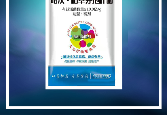 哈茨·枯草芽孢杆菌�Q�白�_�锈病专用）(j��)_02.jpg
