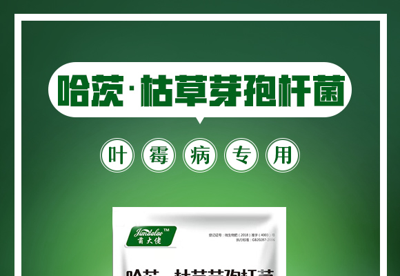 鍝堣尐路鏋崏鑺藉鏉嗚弻錛堝彾闇夌梾涓撶敤錛塤01.jpg 鍝堣尐路鏋崏鑺藉鏉嗚弻錛堝彾闇夌梾涓撶敤錛塤01.jpg