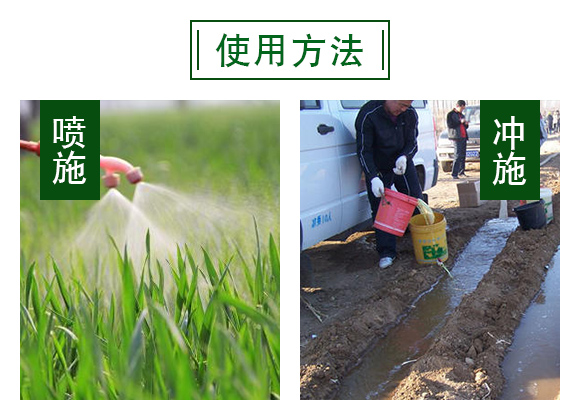 鍝堣尐路鏋崏鑺藉鏉嗚弻錛堝彾闇夌梾涓撶敤錛塤06.jpg 鍝堣尐路鏋崏鑺藉鏉嗚弻錛堝彾闇夌梾涓撶敤錛塤06.jpg