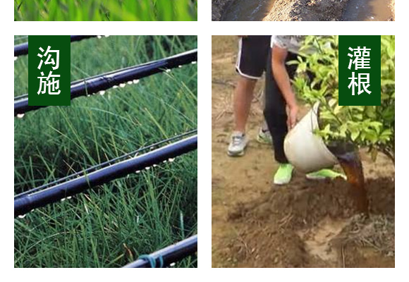 鍝堣尐路鏋崏鑺藉鏉嗚弻錛堝彾闇夌梾涓撶敤錛塤07.jpg 鍝堣尐路鏋崏鑺藉鏉嗚弻錛堝彾闇夌梾涓撶敤錛塤07.jpg