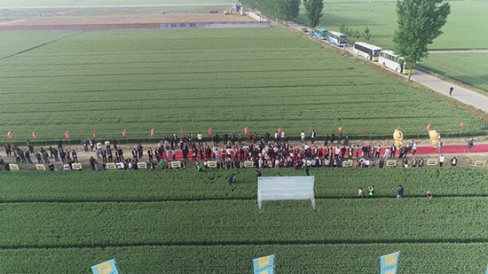 mmexport1557538397098.jpg mmexport1557538397098.jpg