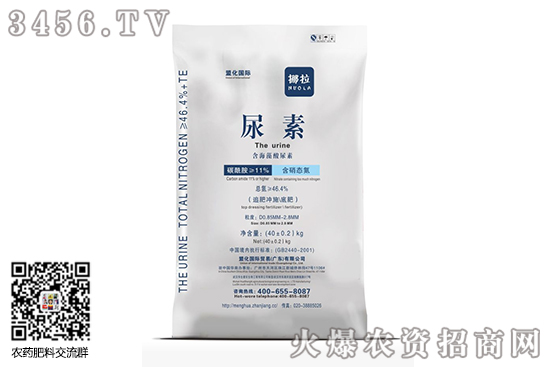 �����Ј���(w��n)���ϝq��2020-10-31���؃r�������r