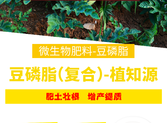 豆磷脂（复合�Q?植知源_08.png