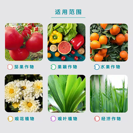 �VԴ�S�����-�A���r(n��ng)�I(y��)