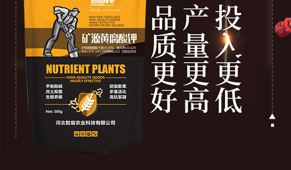 �VԴ�S�����-���