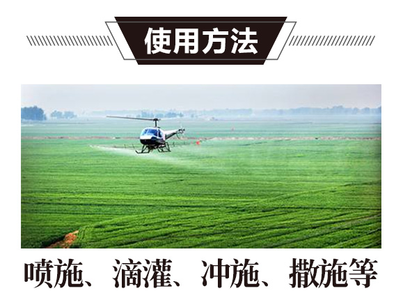 �VԴ�S�����-���