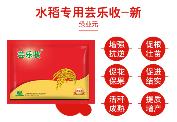 姘寸ɑ涓撶敤鑺鎬箰鏀?鏂?緇夸笟鍏僟03.jpg 姘寸ɑ涓撶敤鑺鎬箰鏀?鏂?緇夸笟鍏僟03.jpg