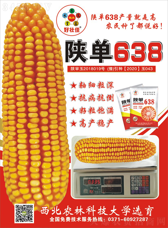 陜單638玉米種子-好壯佳-中亞農(nóng)業(yè) 陜單638玉米種子-好壯佳-中亞農(nóng)業(yè)