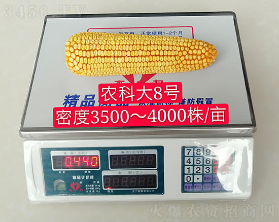 ��о�r(n��ng)�ƴ�8̖(h��o)���׷N��-�ػ��w��-�Ё��r(n��ng)�I(y��)