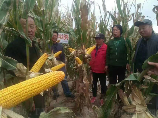 ��о�r(n��ng)�ƴ�8̖(h��o)���׷N��-�ػ��w��-�Ё��r(n��ng)�I(y��)