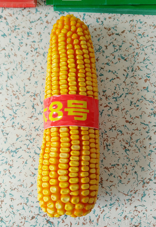 �t�S�r(n��ng)�ƴ�8̖(h��o)���׷N��-�ػ��w��-�Ё��r(n��ng)�I(y��)