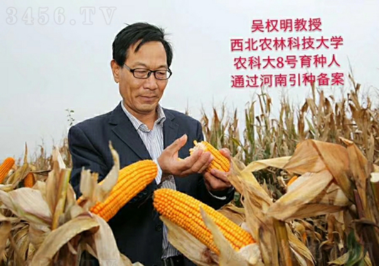 �t�S�r(n��ng)�ƴ�8̖(h��o)���׷N��-�ػ��w��-�Ё��r(n��ng)�I(y��)